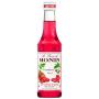 Xarope Monin Framboesa 250ml
