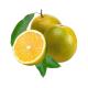 Laranja Pera Alfacitrus 2kg - Imagem 7898934634025.png em miniatúra