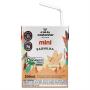 Bebida à Base de Castanha-de-Caju Orgânica Baunilha A Tal da Castanha Mini Caixa 200ml