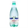 Água Mineral Natural sem Gás São Lourenço Garrafa 510ml