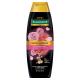 Shampoo Palmolive Luminous Oils Nutre e Hidrata Frasco 350ml - Imagem 7509546689944.png em miniatúra