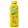 Caldo de Cana Abacaxi Pinoco's 900ml