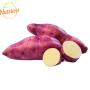 Batata Doce Rosada Orgânica Plantei Bandeja 500g