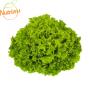 Alface Crespa Higienizada Orgânica Nutriens 150g