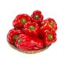 Pimentão Vermelho Plantei Orgânico 300g