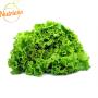 Alface Crespa Orgânica Nutriens Embalada 200g