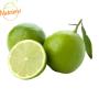 Limão Taiti Orgânico Plantei 500g