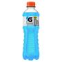 Isotônico Frutas Silvestres Gatorade Atividades Diárias Garrafa 350ml