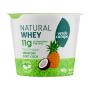 Iogurte Bicamada Abacaxi com Coco Zero Lactose Verde Campo Natural Whey Pote 140g