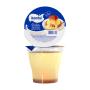 Pudim Itambé Leite Condensado Pote 100g