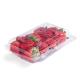 Morango Arado Plantei Premium 250g - Imagem 609963942930.png em miniatúra