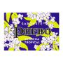 Sabonete Phebo Verbena Tropical Barra 100g