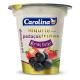 Iogurte Carolina Açaí e Morango com Pedaços de Fruta Pote 450g - Imagem 7896691104669.png em miniatúra