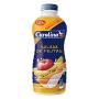 Bebida Láctea Carolina Salada de Frutas Embalagem Econômica 1.25kg