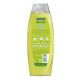 Shampoo Palmolive Naturals Neutro Capim Limão Limpeza Balanceada 650ml - Imagem 7509546673851-1-.jpg em miniatúra