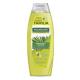 Shampoo Palmolive Naturals Neutro Capim Limão Limpeza Balanceada 650ml - Imagem 7509546673851-2-.jpg em miniatúra