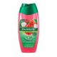 Sabonete líquido Palmolive Naturals Hidratação Refrescante Melancia e Lichia 250ml - Imagem 7509546695945.jpg em miniatúra