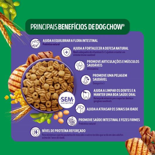 Alimento para cães adulto carne e frango Dog Chow 900g - Imagem em destaque