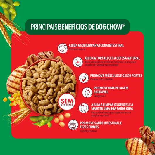 Ração para Cães Dog Chow Adultos Médios e Grandes Carne e Frango 900g - Imagem em destaque