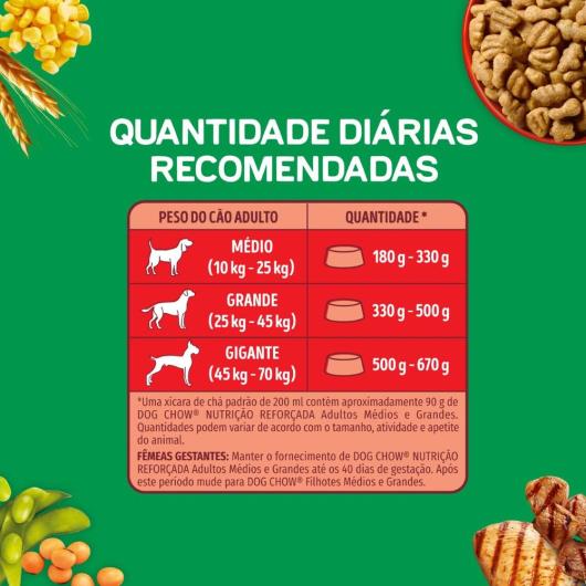 Ração para Cães Dog Chow Adultos Médios e Grandes Carne e Frango 900g - Imagem em destaque