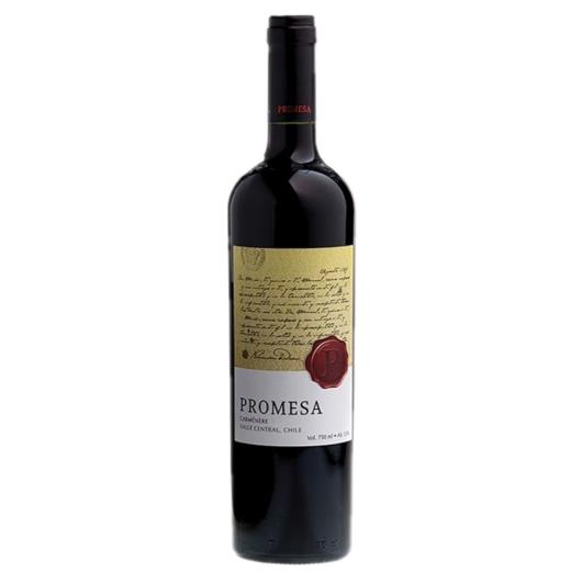Vinho chileno carménère Promessa 750ml - Imagem em destaque