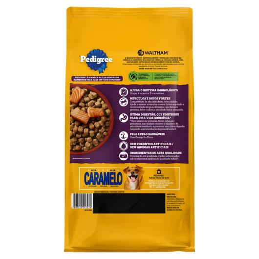 Alimento para Cães adultos pequenos e minis salmão Pedigree 900g - Imagem em destaque