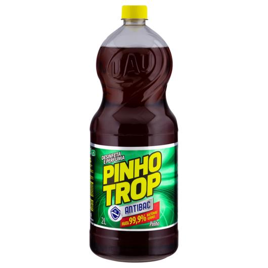 Desinfetante Antibac Uso Geral Pinho Trop Frasco 2l - Imagem em destaque