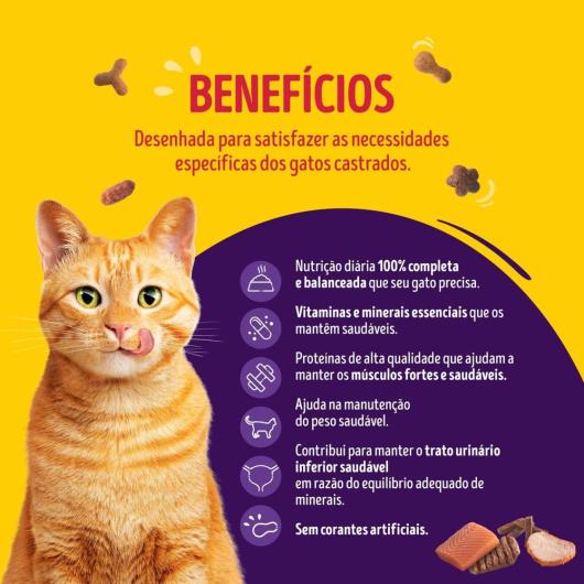 Ração para Gatos Adultos Castrados Megamix Purina Friskies Pacote 850g - Imagem em destaque
