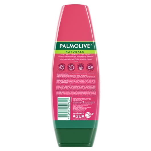 Condicionador Palmolive Naturals Lisos Radiantes Frasco 315ml - Imagem em destaque