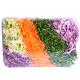 Salada primavera hidropônica Suguimoto - Imagem 1000010564.jpg em miniatúra