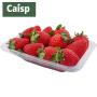 Morango Caisp Orgânico Bandeja de 250g