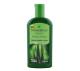 Shampoo Farmaervas de babosa e ginseng 320ml - Imagem 9b847e0d-1a14-4210-8064-4a722767850a.JPG em miniatúra