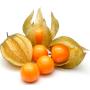 Physalis 100g
