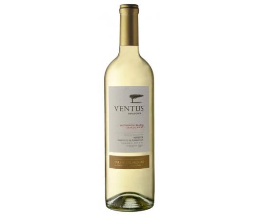 Vinho Argentino Ventus Sauvignon Chardonnay Blanc 750ml - Imagem em destaque