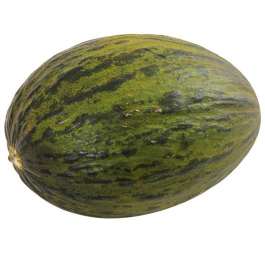 Melão Verde Inteiro 2,1kg - Imagem em destaque
