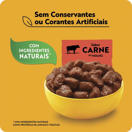 Alimento para Cães Adultos Raças Pequenas Carne ao Molho Pedigree Sachê 100g - Imagem em destaque