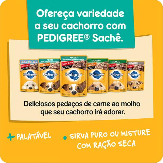 Alimento para Cães Filhotes Raças Pequenas Pedigree Pacote 900g - Imagem em destaque