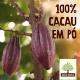 Cacau em Pó Mãe Terra 100% Cacau 100g - Imagem 7896496940325-(6).jpg em miniatúra