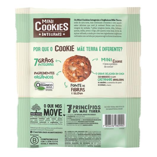 Cookies Orgânicos Mãe Terra Coco e Castanhas 120g - Imagem em destaque