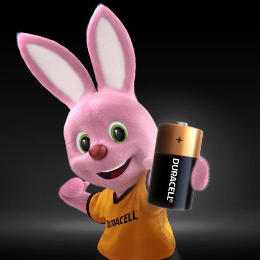 Pilha Alcalina C média DURACELL com 2 unidades - Imagem em destaque