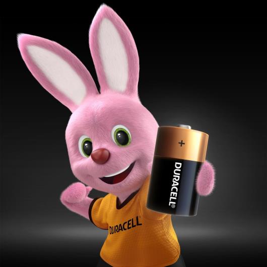 Pilha Alcalina D Grande DURACELL com 2 unidades - Imagem em destaque