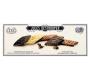 Biscoito Belga Jules Destrooper Chocolate Thins 100g