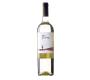 Vinho Argentino Tierra de Salta Torrontes Branco 750ml