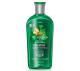 Shampoo Phytoervas Controle Oleosidade 250ml - Imagem 1448269.jpg em miniatúra