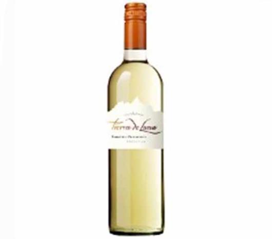 Vinho Argentino Tierra de Luna Chardonnay Branco 750ml - Imagem em destaque