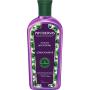 Condicionador Antiqueda Bétula Natural Phytoervas 250ml