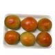 Tomate Carmem Hortmix bandeja 1kg - Imagem NovoProjeto-2022-02-22T125200-811.jpg em miniatúra