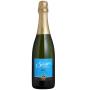 Vinho Espumante Salton Series Branco Brut 750ml