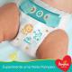 Fralda Descartável Pampers Supersec P 34unids. - Imagem 7500435132718-(5).jpg em miniatúra