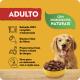 Alimento para Cães Adultos Carne ao Molho Pedigree Sachê 100g - Imagem 7896029018958-7.jpg em miniatúra